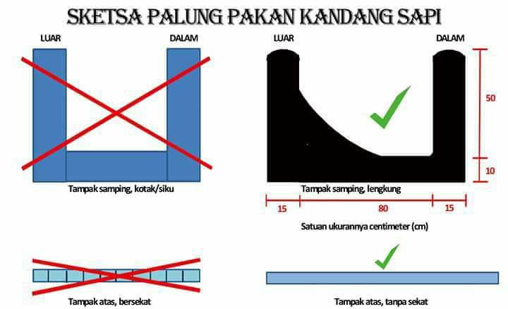 jenis palung pakan sapi