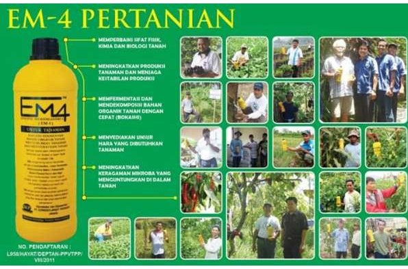 jual em4 pertanian