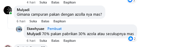 Komposisi Pakan Azolla Untuk Pakan Bebek Petelur