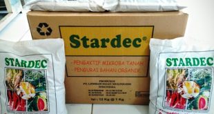 Cara pembuatan Pupuk Kandang Dengan Stardec