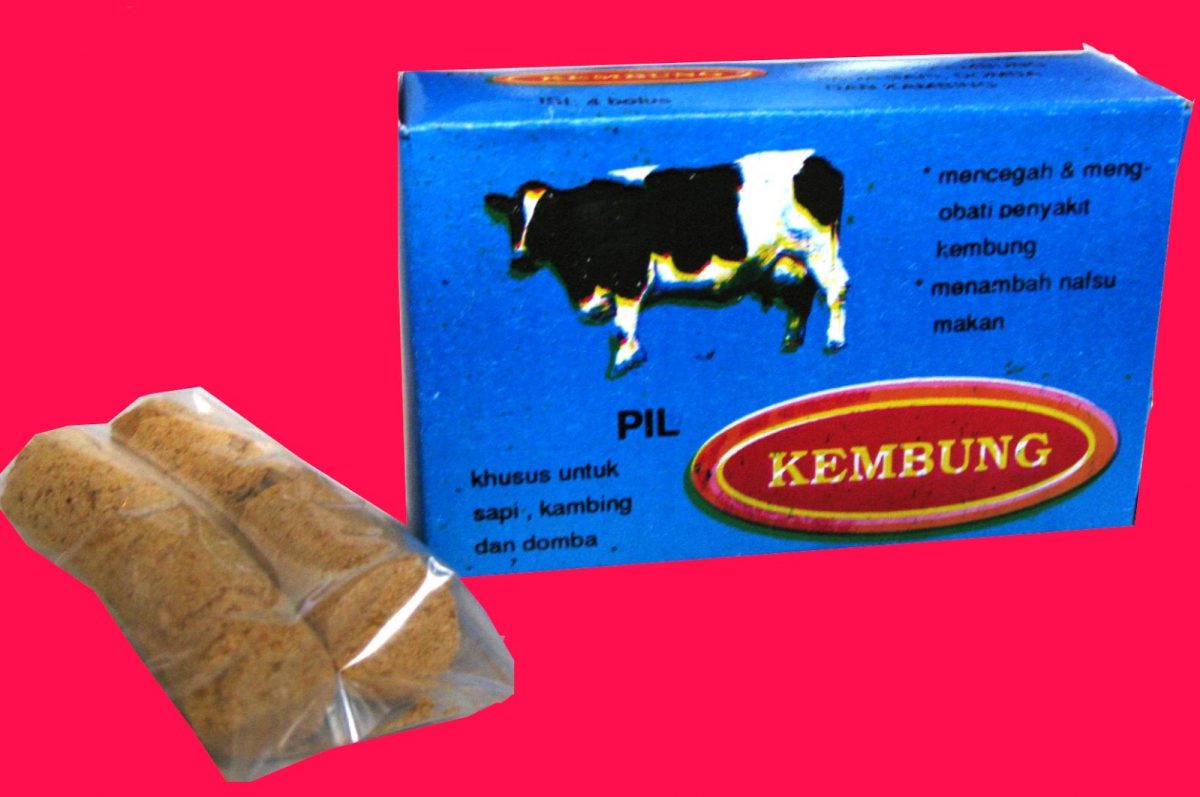 Jual Obat Kembung Sapi Kambing Domba 0813-6283-3212